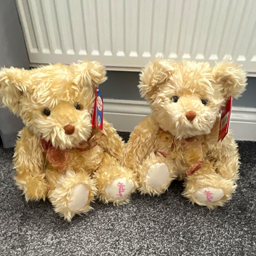 Pair hamleys teddy bears - pair,