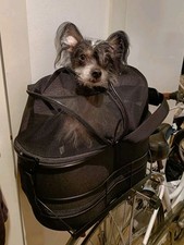 Trixie Dog Basket for Bicycle