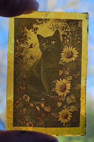 Stained glass black - glass, cat