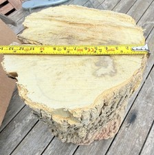 Large Boxwood Log With 1 Crack