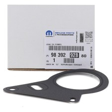 Genuine Peugeot Citroen Fuel