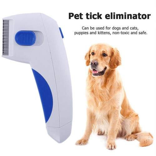 Electric flea zapper lice - flea,
