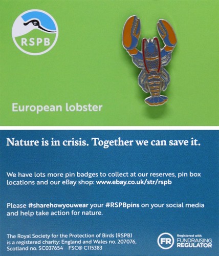 Rspb pin badge - rspb, niic