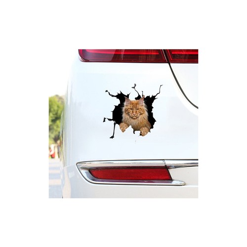 Cat car truck - car, vinyl