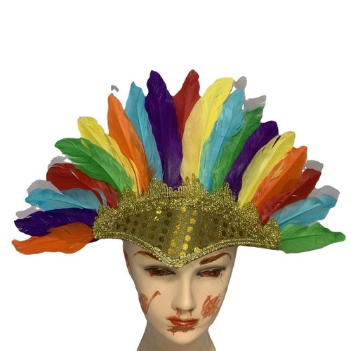 Feather headdress headpiece - feather,
