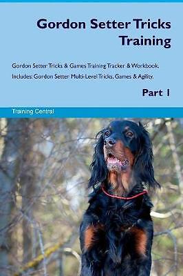 Gordon setter tricks - gordon,