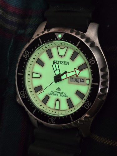 Citizen fugu full lume dial - full,