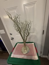 Gold Manzanita Tree 38 Inches