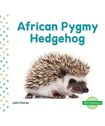 African pygmy hedgehog - african,