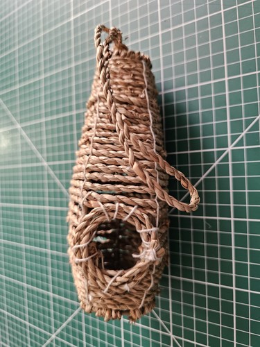 Seagrass bird nest thin - bird,
