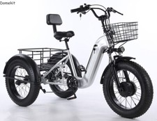 20" 48V Electric Cargo