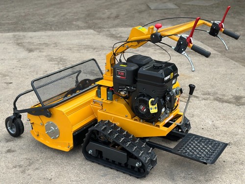 Raptor petrol pedestrian - x,