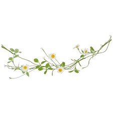 Gisela graham spring daisy - graham,