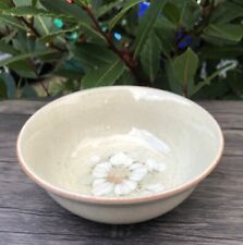 DENBY Coloroll DAYBREAK 5.5” cereal/soup bowl new other CONDITION /unboxed/