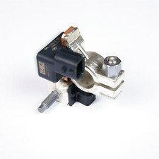 Genuine Renault Negative