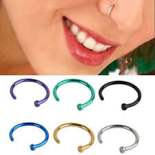 Titanium Anodised Nose Hoop