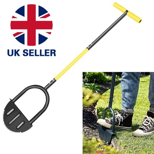 Grass lawn edge border - lawn,