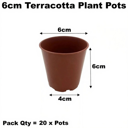 6cm plant pots plastic - plant,