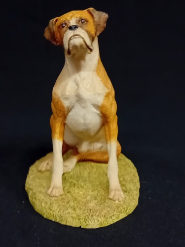 Country artists boxer dog - artists, dog'