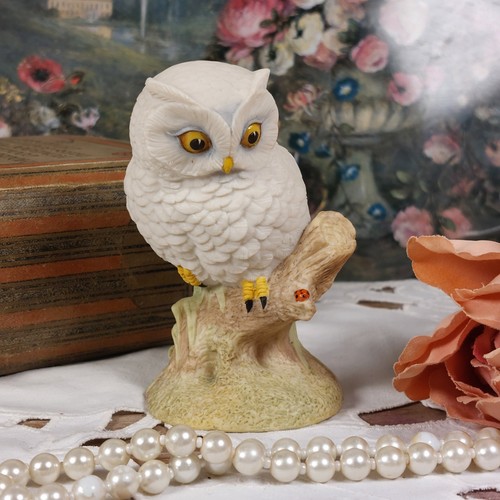 Vintage aynsley baby owl - vintage, 'baby