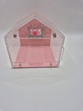 Tarantula Cribs Jumping Spider