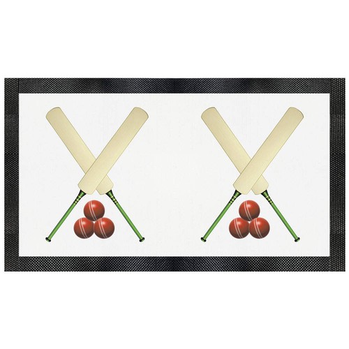 Cricket bats and balls pet - balls',