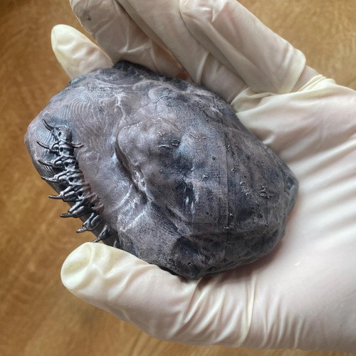 Handmade xenomorph alien - handmade,
