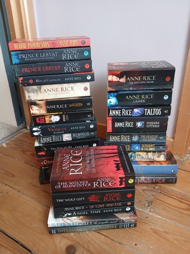 Huge anne rice book - rice, bundle