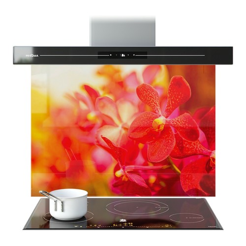 Kitchen glass splashback - kitchen,