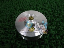 DR-Z400 Front Fork Bolts - In