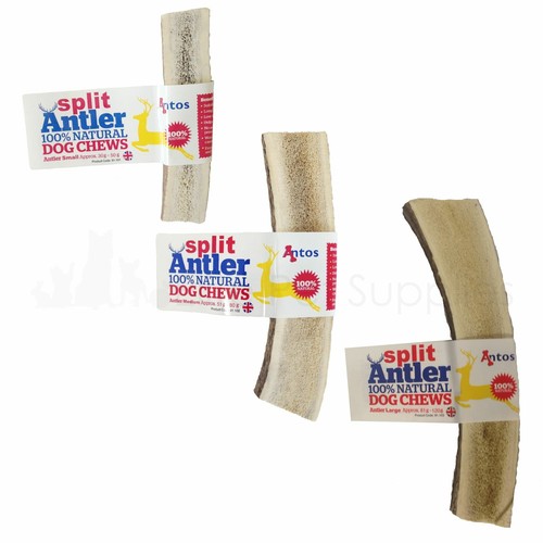 Antos split deer - antos, dog