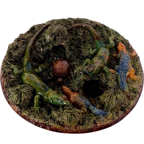 Rare vintage carvalho - carvalho, palissy