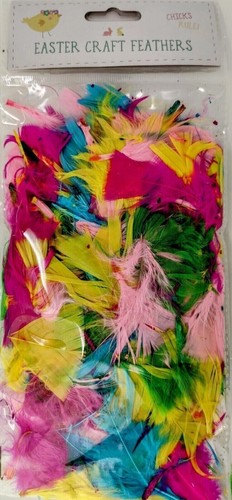 Easter coloured feathers - feathers,