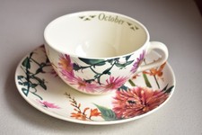 SPODE FLOWERS OF THE MONTH