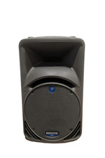 Mackie C300 PA Speaker - 400W
