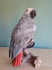 Vivid Arts Real Life African