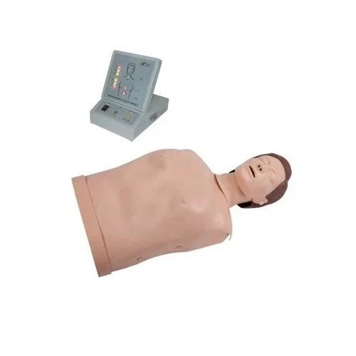 Cpr training manikin half - training,