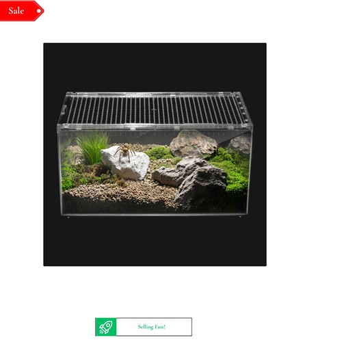 Reptile terrarium - terrarium,