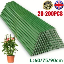60/75/90cm Green Garden Plant