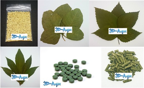 Shrimp aquarium kit catappa - shrimp,