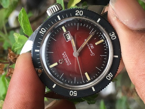 Omega seamaster 120 - seamaster,