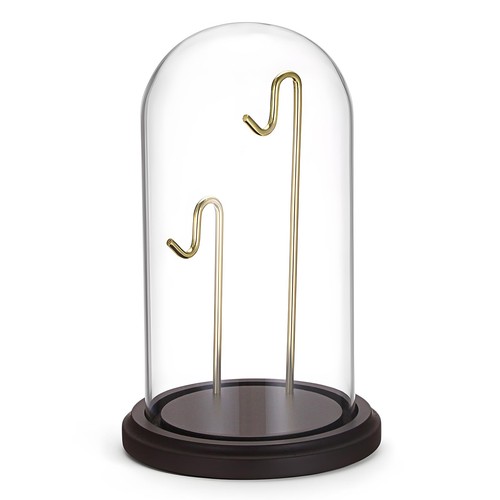 Glass display cloche - display, with