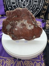 Stunning Petrified