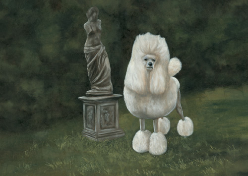 Poodle white standard dog - white, art