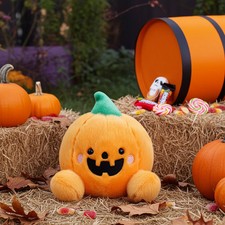 Jack O'Lantern Pumpkin Palm