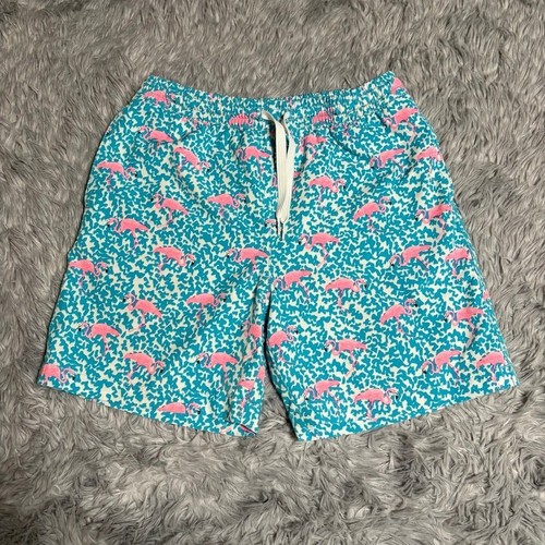 Chubbies swim trunks - trunks, teal