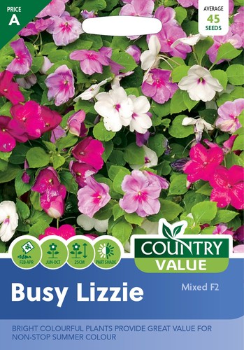 Flower seeds busy lizzie - seeds,
