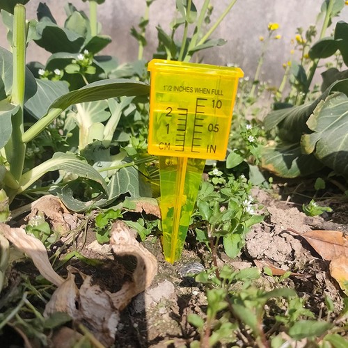 Water rain gauge - water,