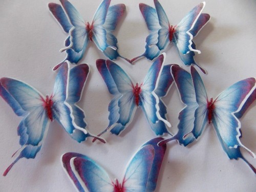 Precut double blue edible - 12,