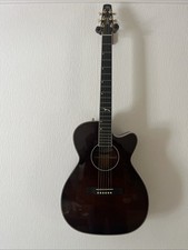 Seagull Artist Mosaic CH CW